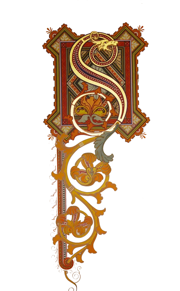 S Emblem